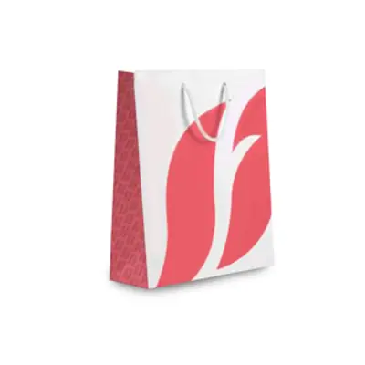 image of Carton Bag Big - Coral