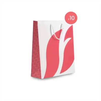 image of Carton Bag Big – Coral pk/10